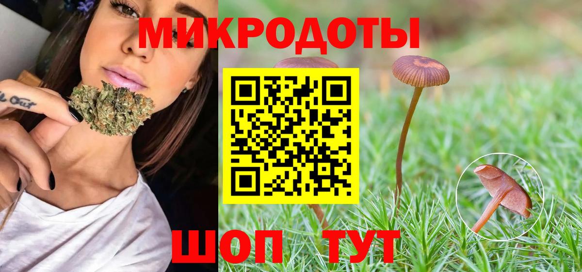 Галлюциногенные грибы Magic Shrooms Будённовск