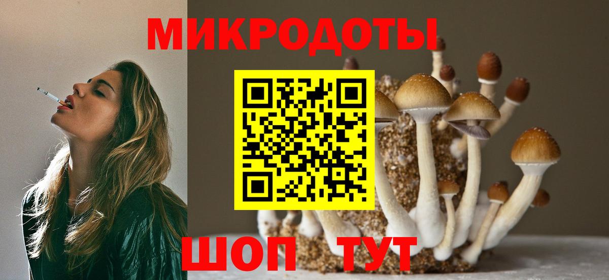 Галлюциногенные грибы мухоморы  Галлюциногенные грибы Magic Shrooms  Будённовск 