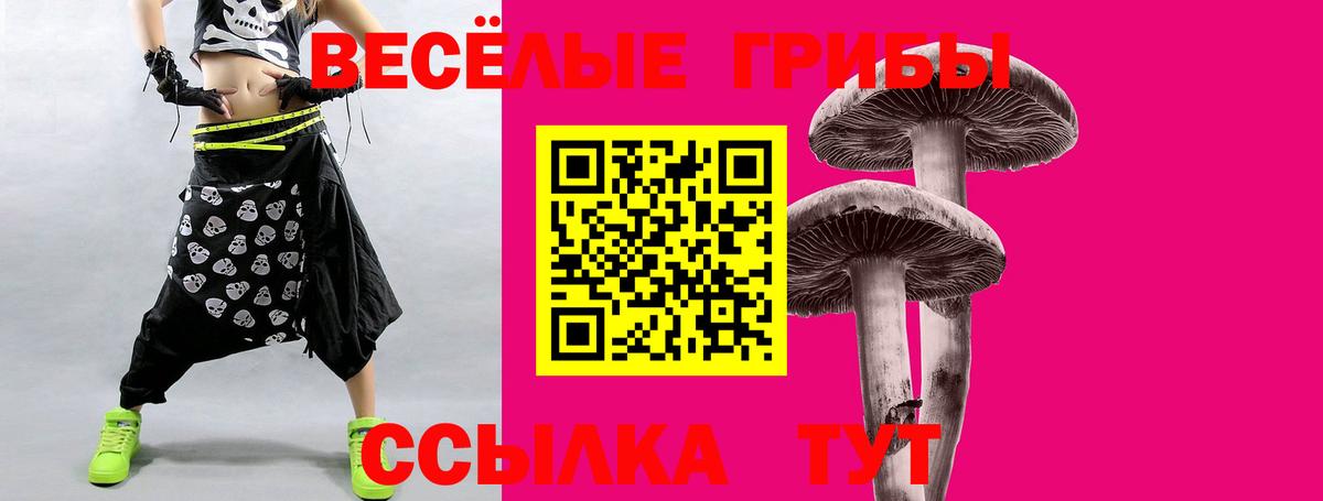Будённовск  Псилоцибиновые грибы прущие грибы  Вход с VPN  Псилоцибиновые грибы Cubensis 